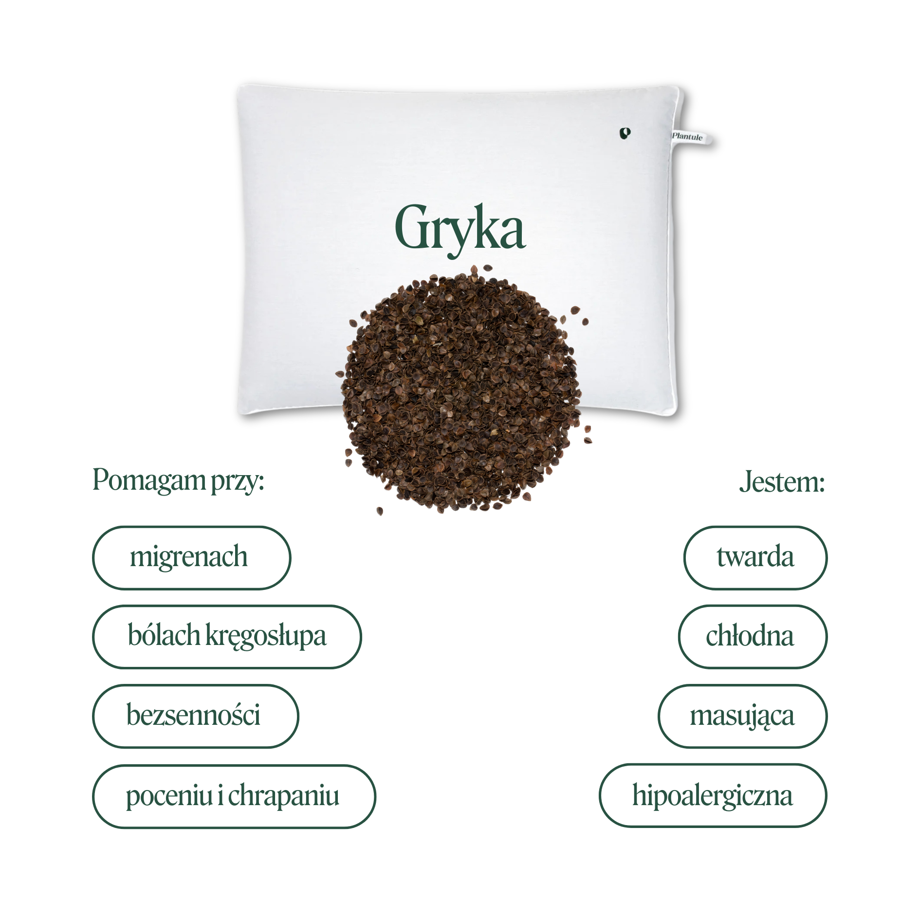 BF: Buckwheat husk pillow - bestseller (various sizes)