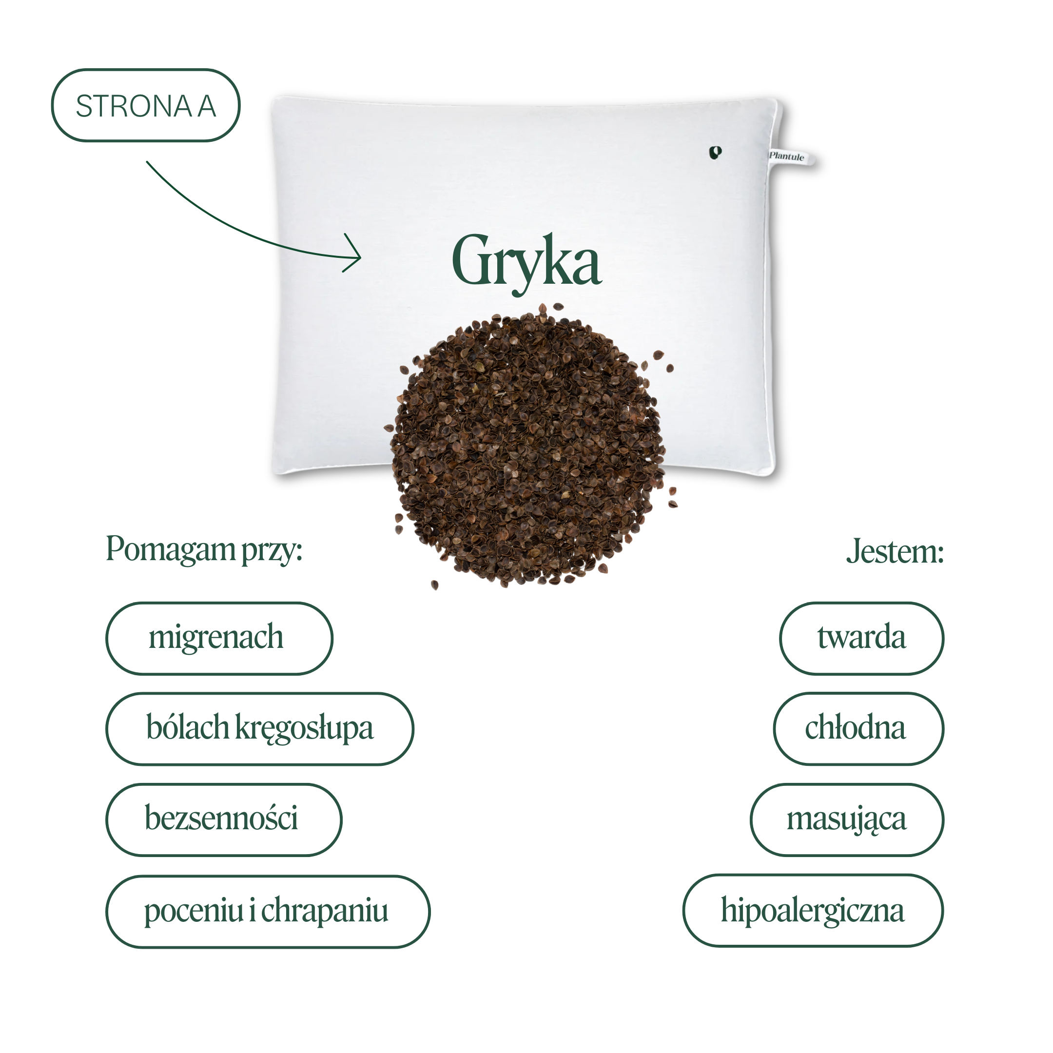BF: Buckwheat husk pillow - bestseller (various sizes)