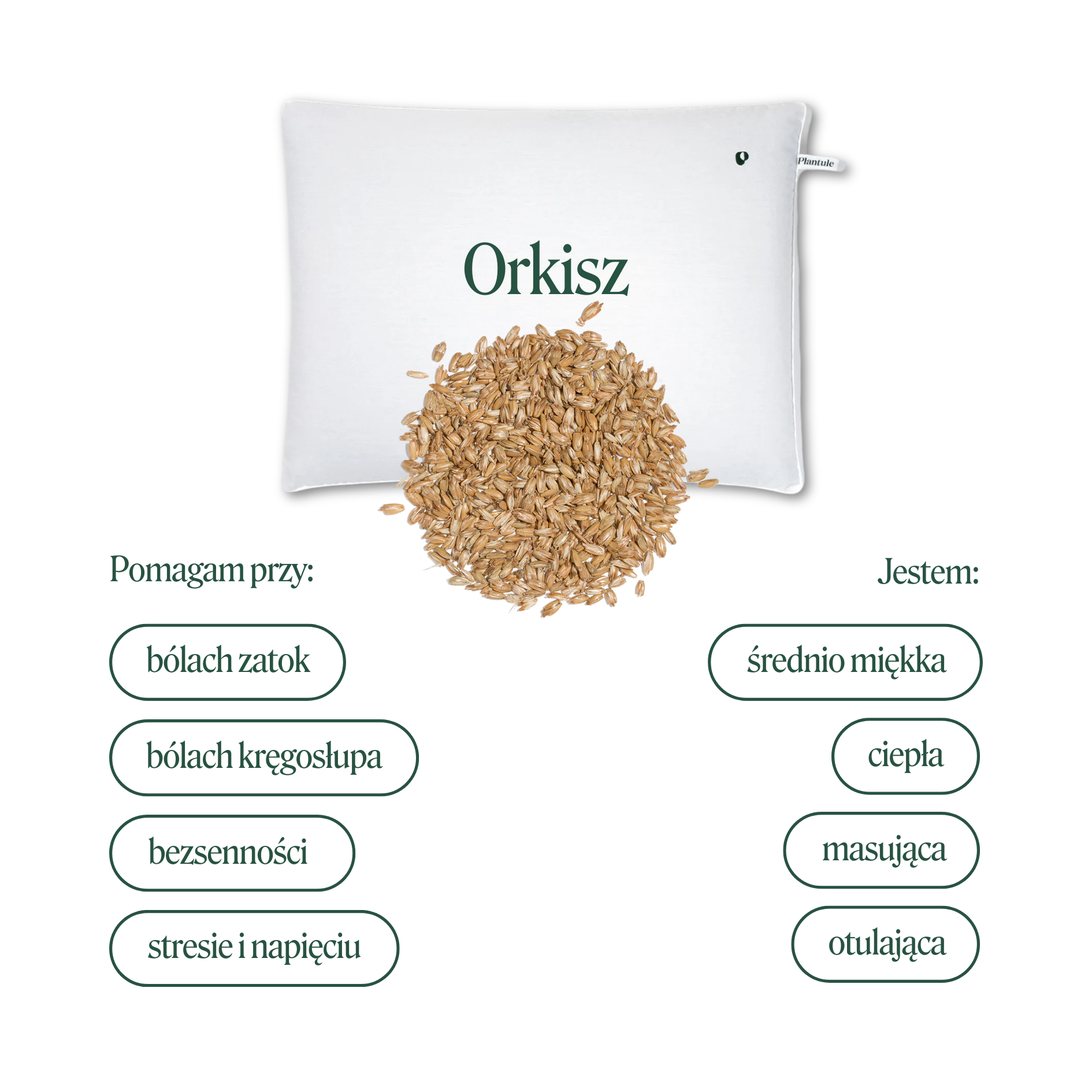 BF: Buckwheat husk pillow - bestseller (various sizes)