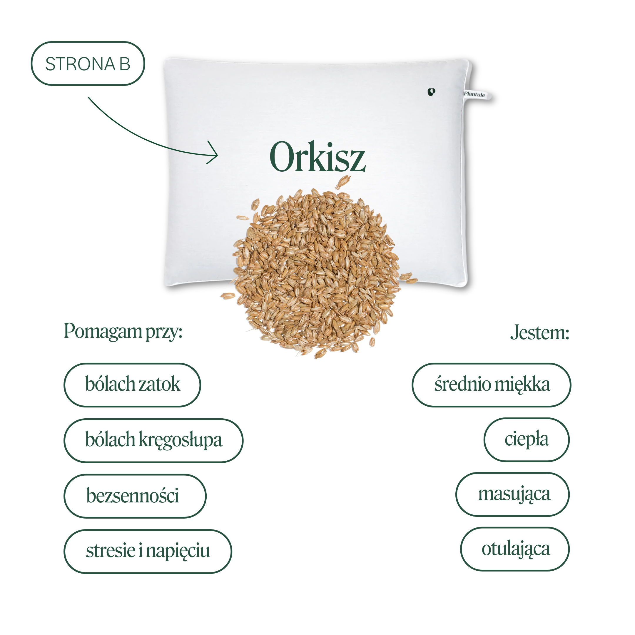 BF: Reversible pillow - bestseller