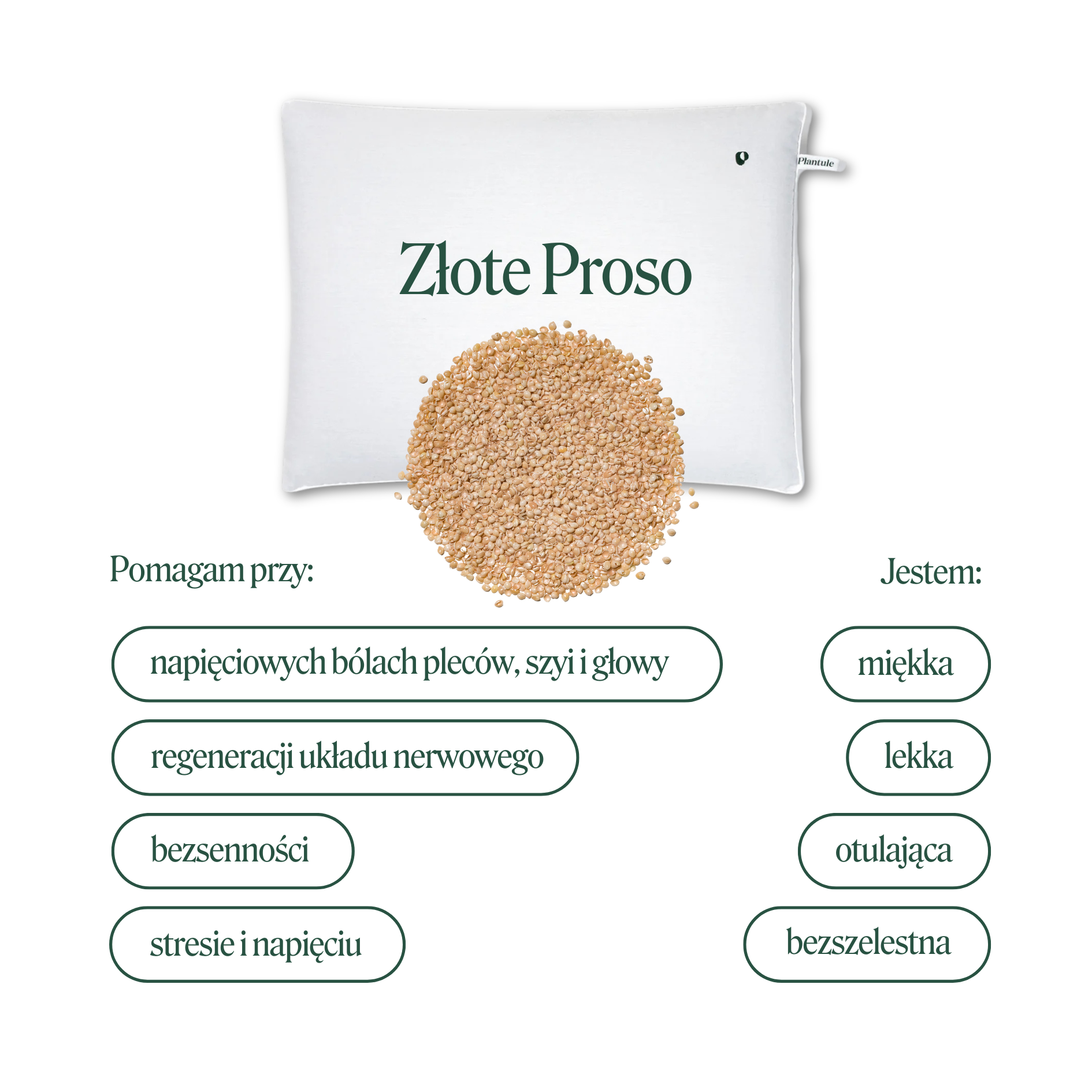 BF: Buckwheat husk pillow - bestseller (various sizes)