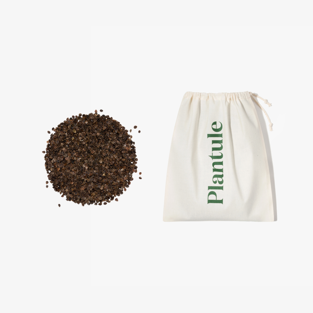 Travel and relaxation croissant (green)