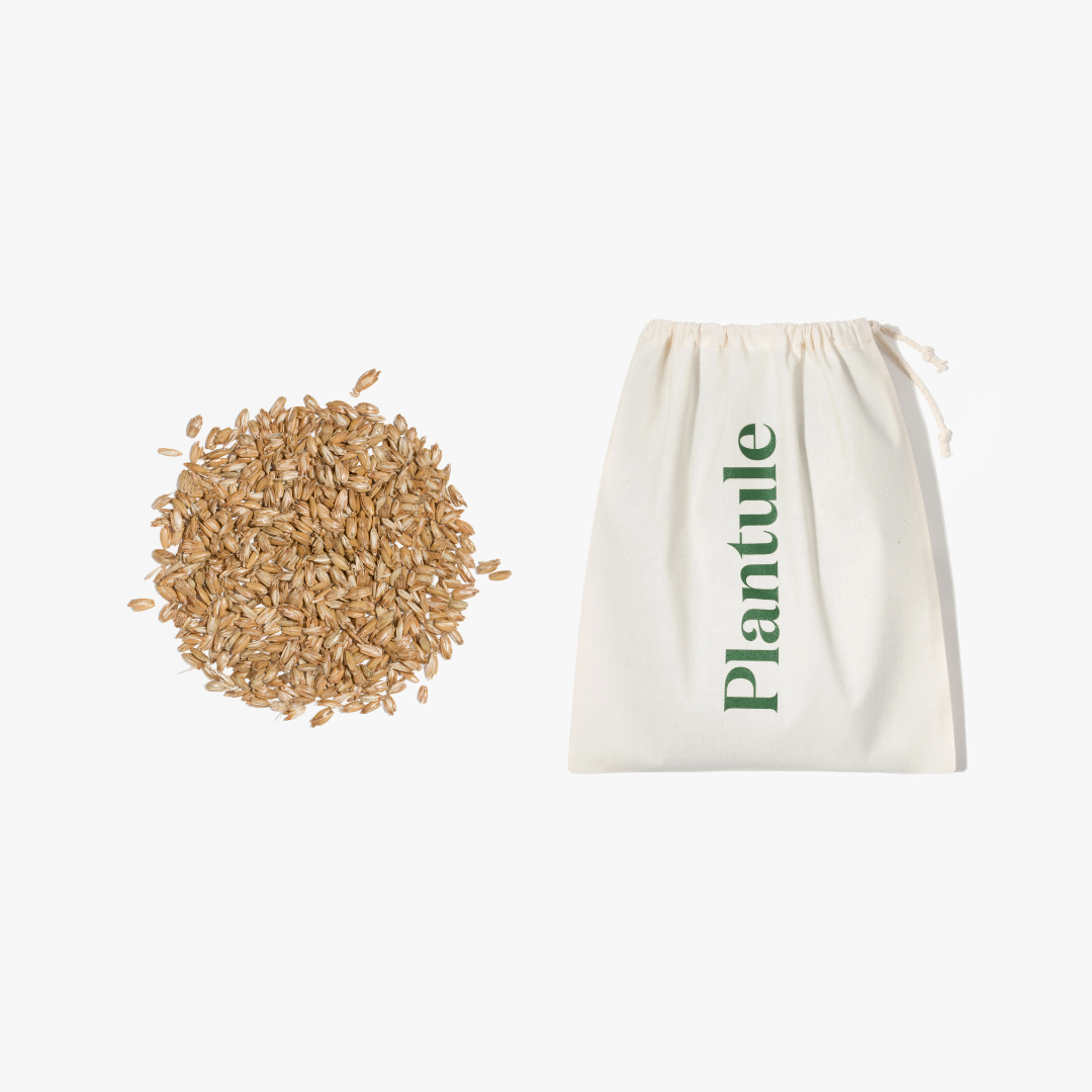 Travel and relaxation croissant (green)