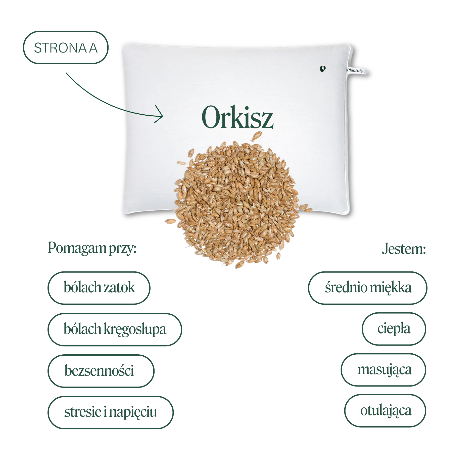 BF: Buckwheat husk pillow - bestseller (various sizes)