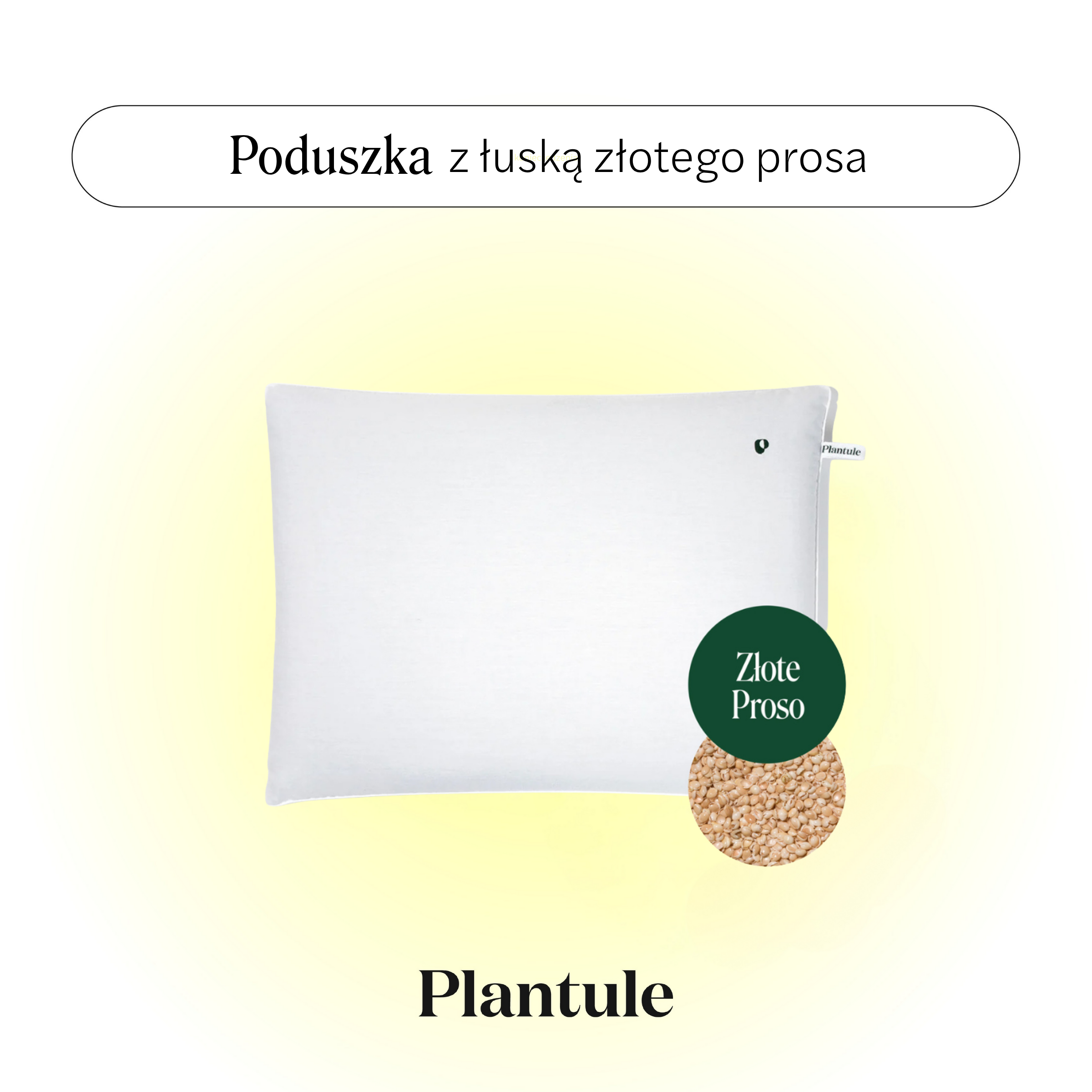 BF: Buckwheat husk pillow - bestseller (various sizes)