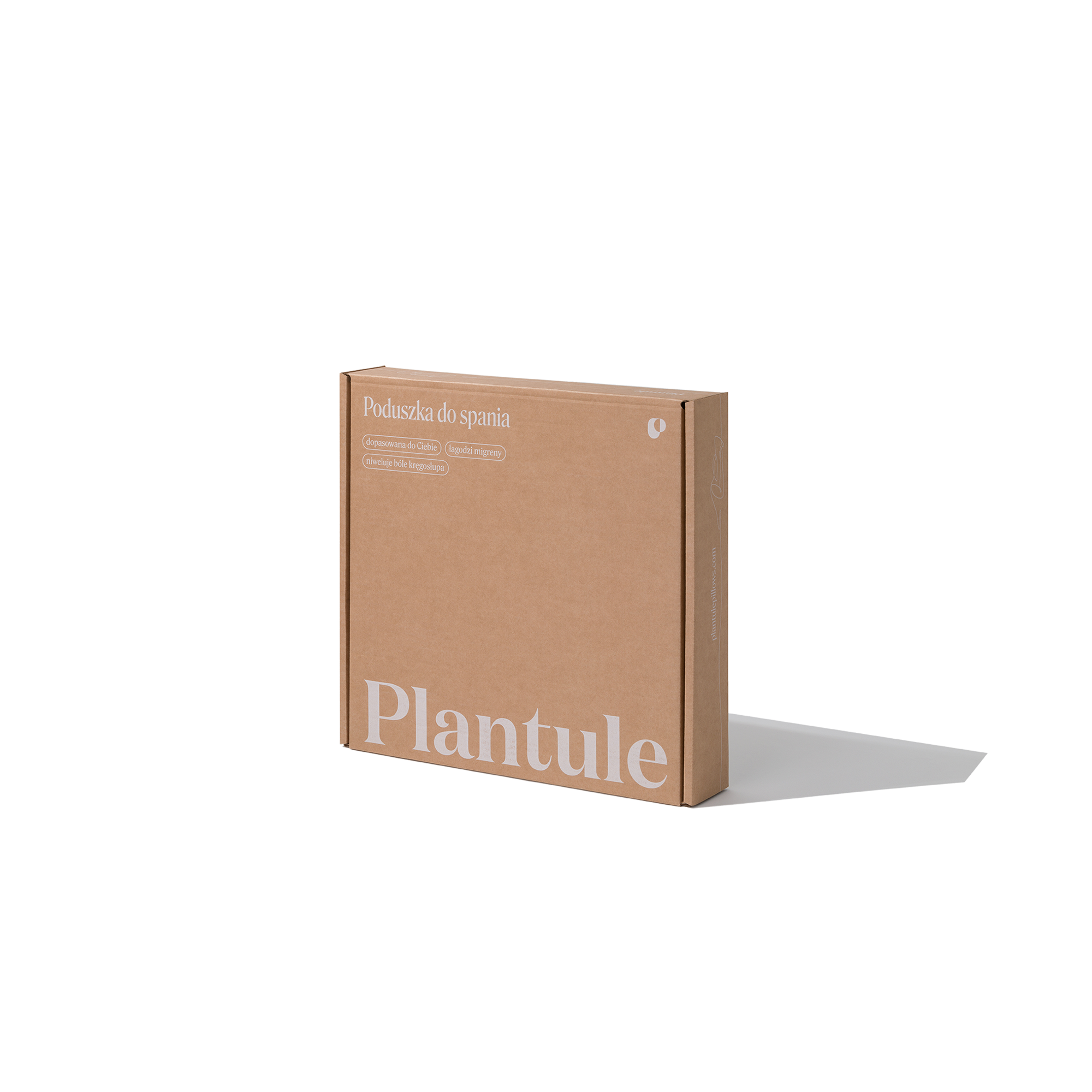 BF: Buckwheat husk pillow - bestseller (various sizes)