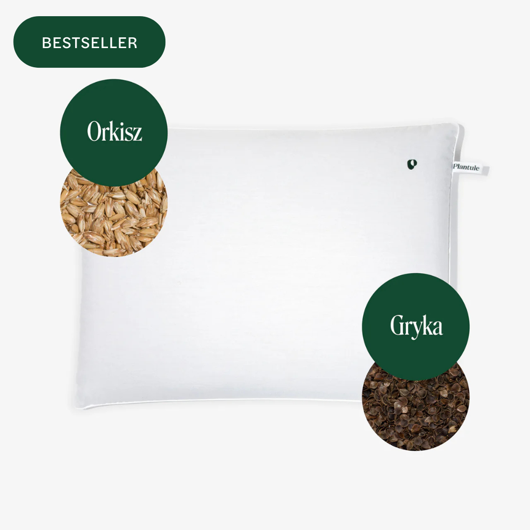 BF: Reversible pillow - bestseller