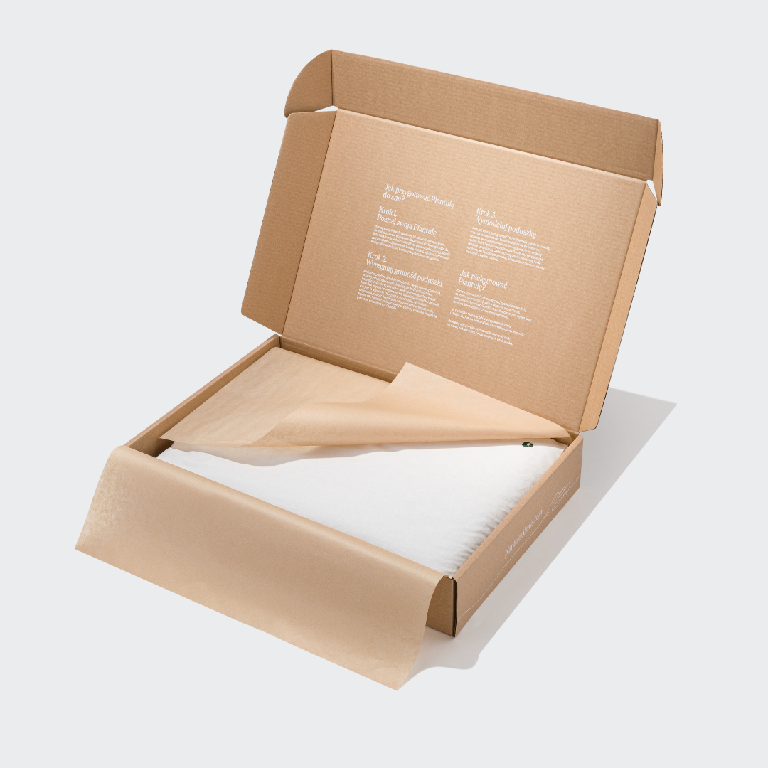 BF: Buckwheat husk pillow - bestseller (various sizes)