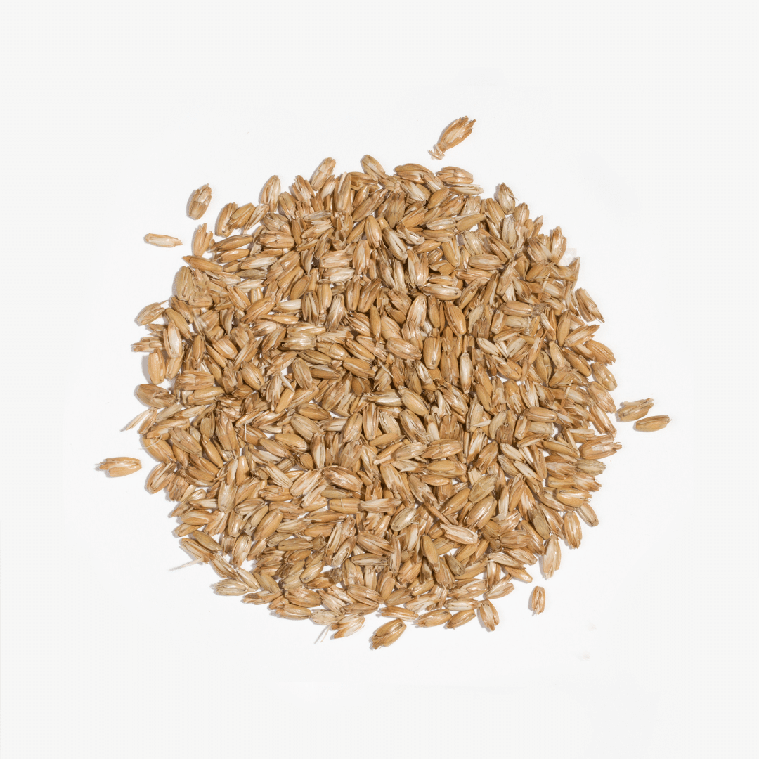 BF: Buckwheat husk pillow - bestseller (various sizes)