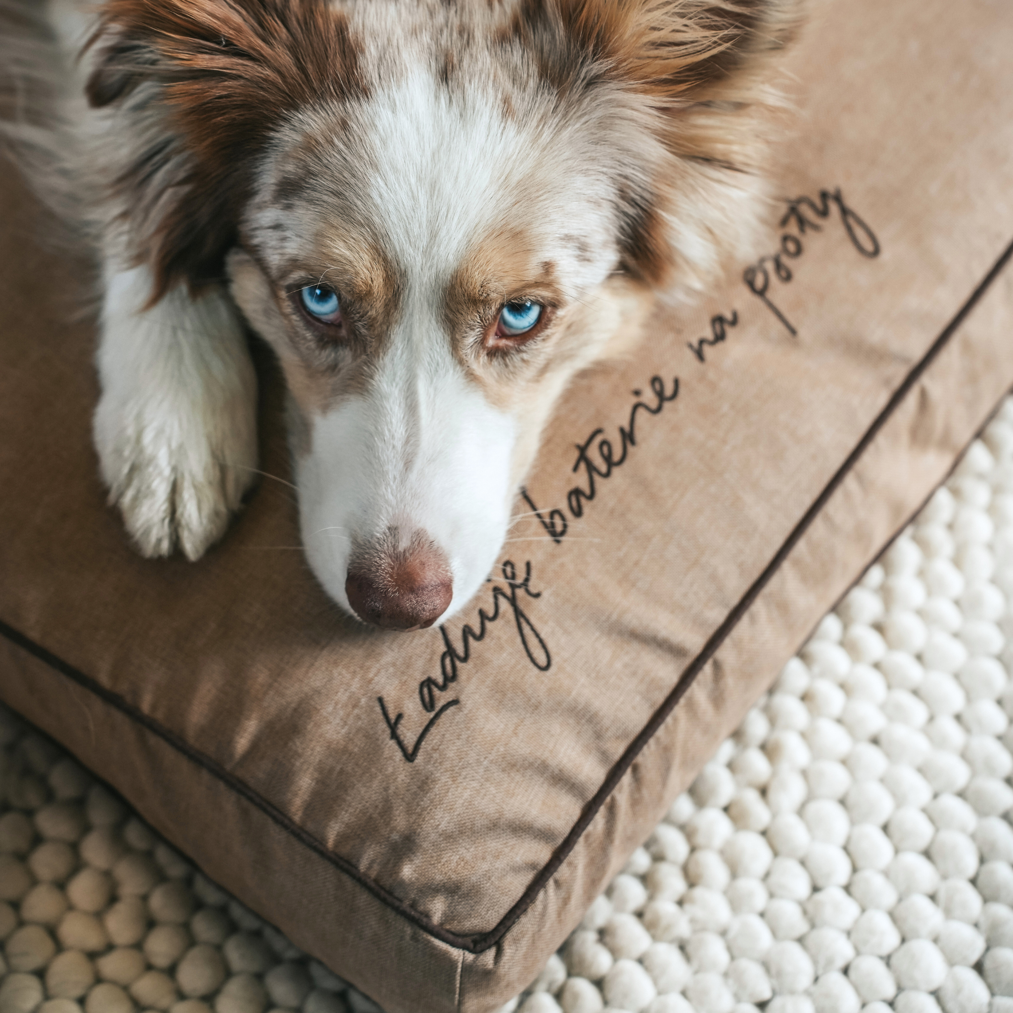 BF: Reversible pillow - bestseller