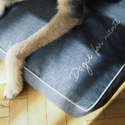 BF: Reversible pillow - bestseller