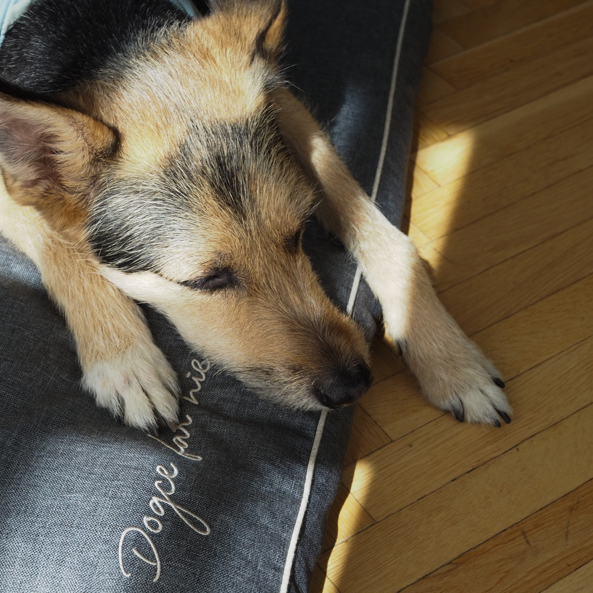 BF: Reversible pillow - bestseller