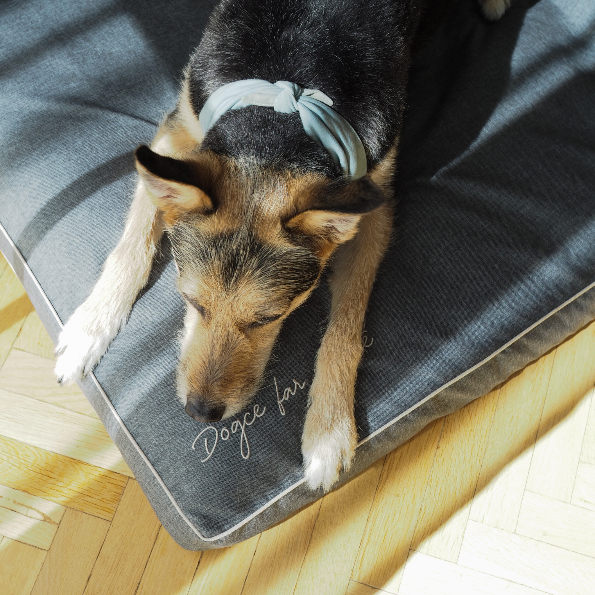 BF: Reversible pillow - bestseller