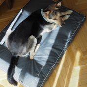 BF: Reversible pillow - bestseller