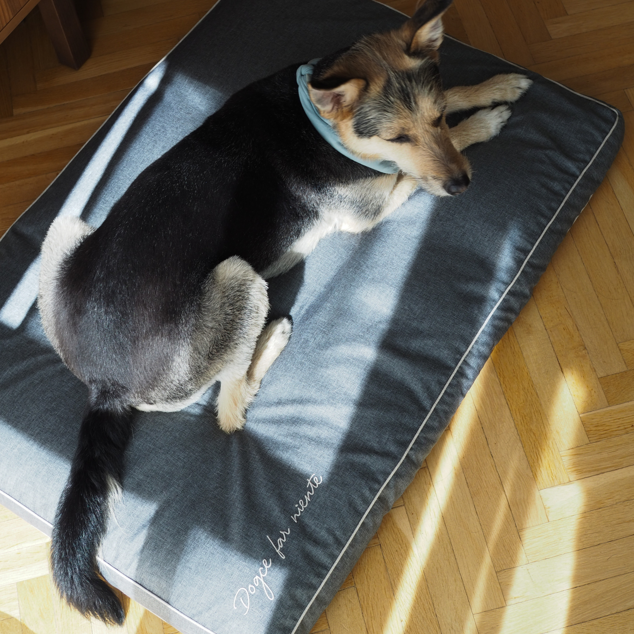 BF: Reversible pillow - bestseller