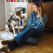 BF: Reversible pillow - bestseller