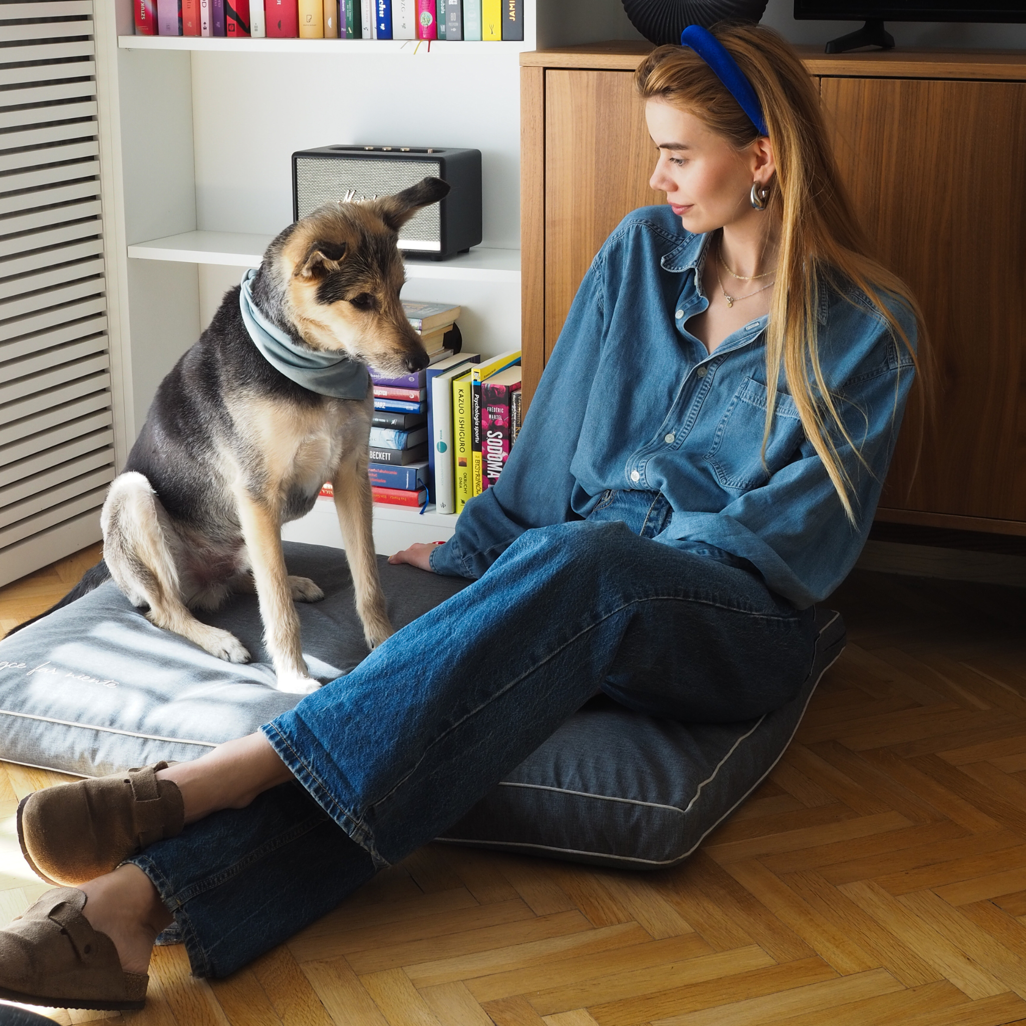 BF: Reversible pillow - bestseller