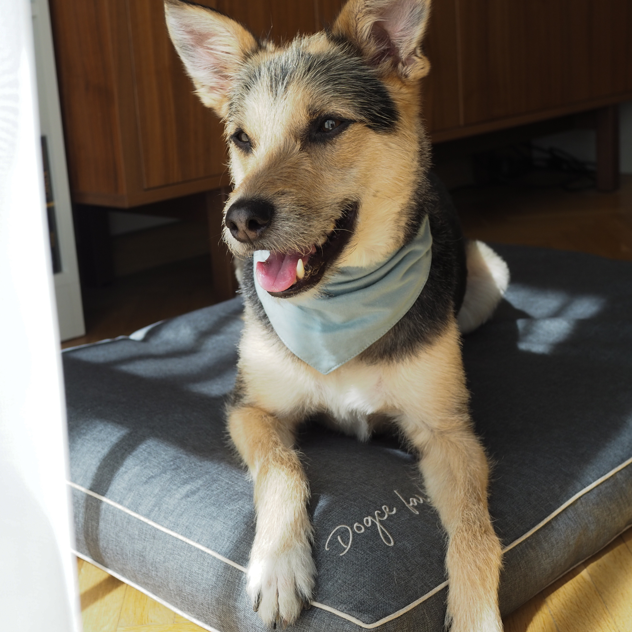 BF: Reversible pillow - bestseller