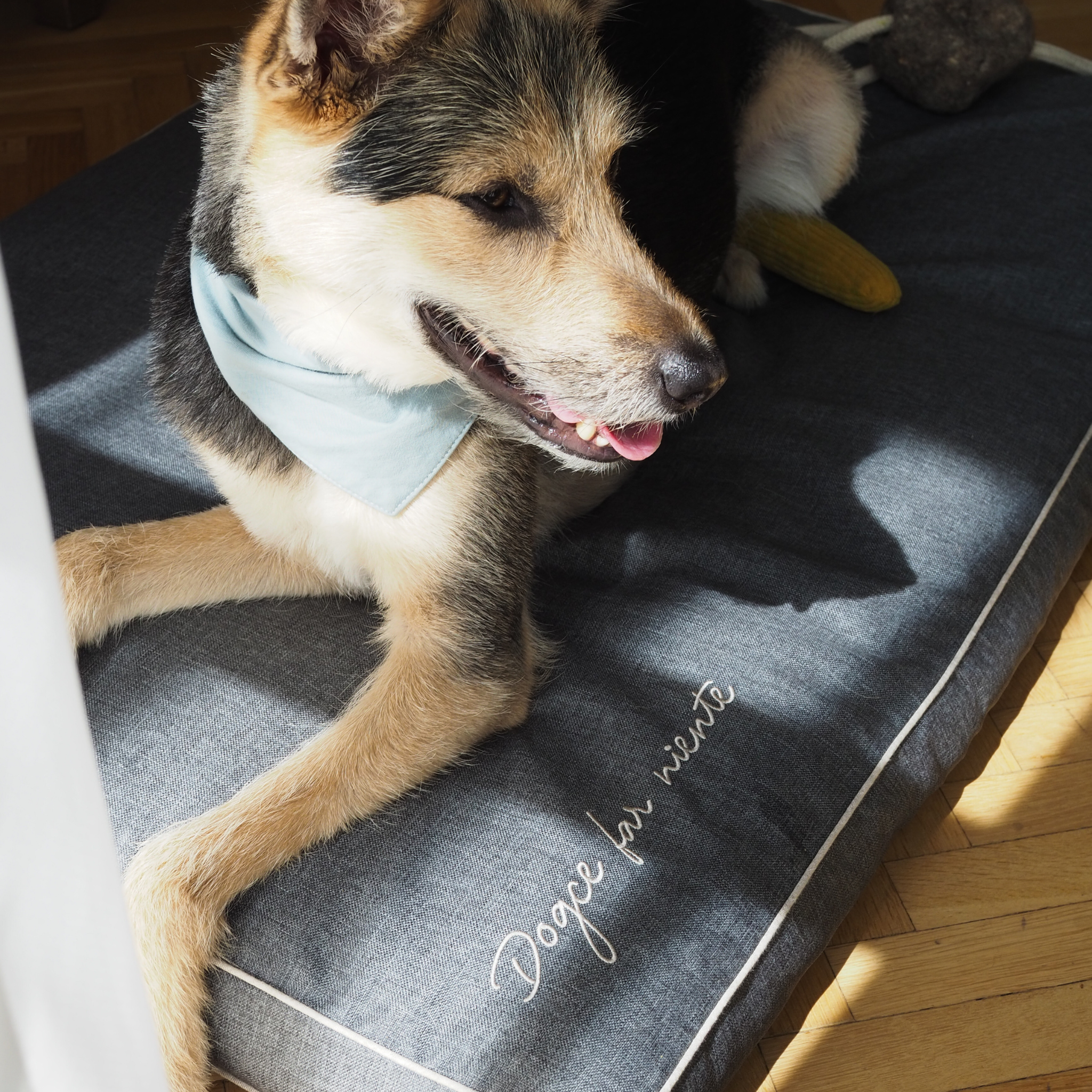 BF: Reversible pillow - bestseller