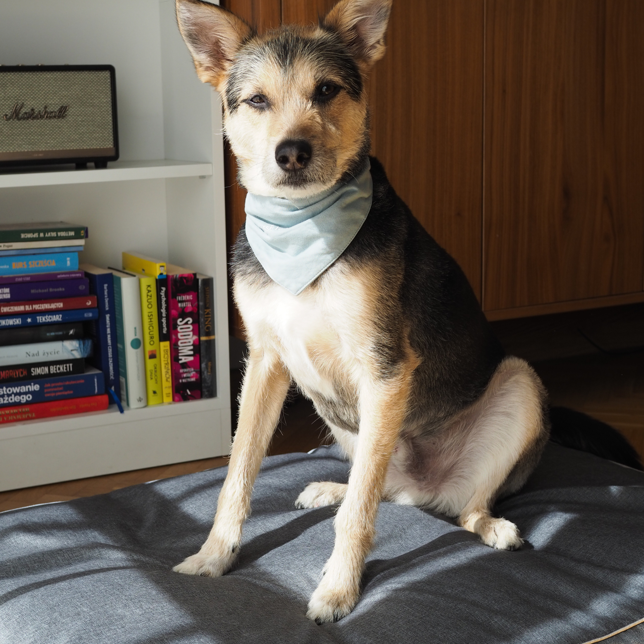 BF: Reversible pillow - bestseller