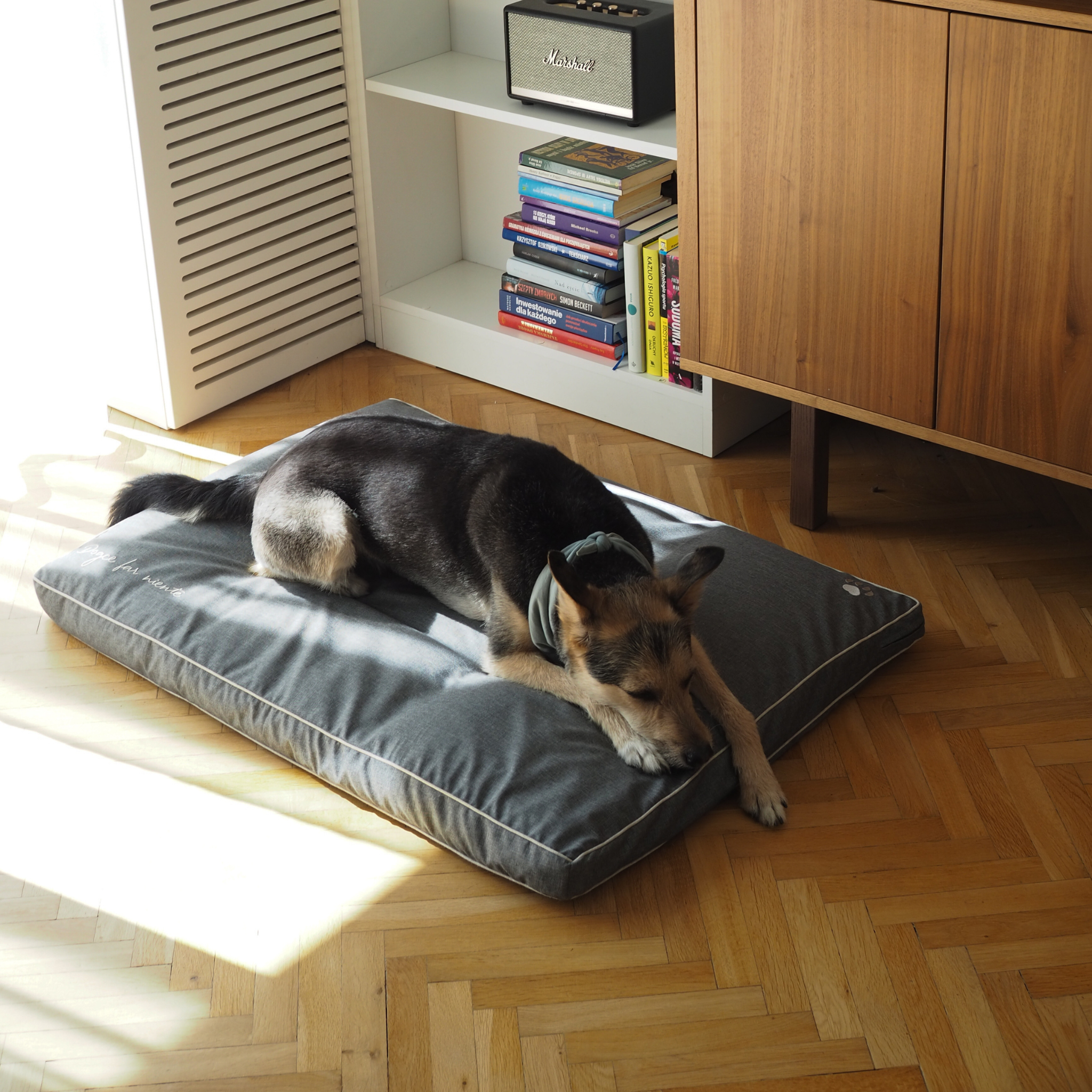 BF: Reversible pillow - bestseller