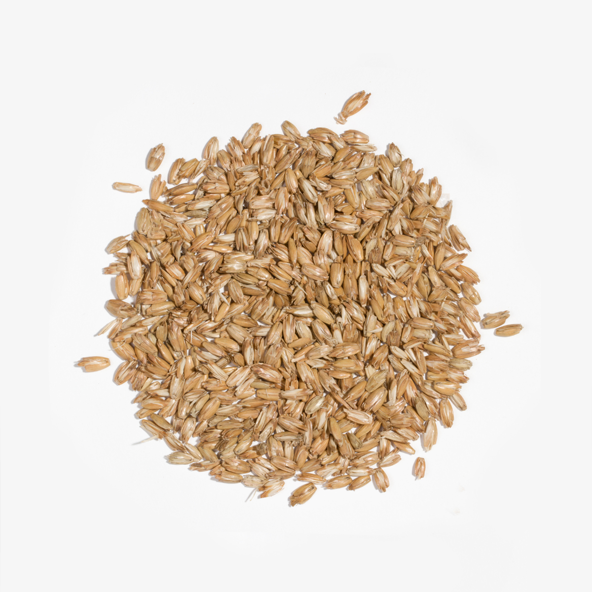 Buckwheat hulls - supplement Jasiek 40x40cm