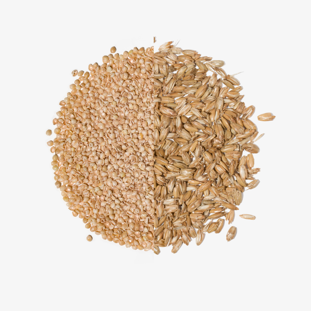 BF: Buckwheat husk pillow - bestseller (various sizes)