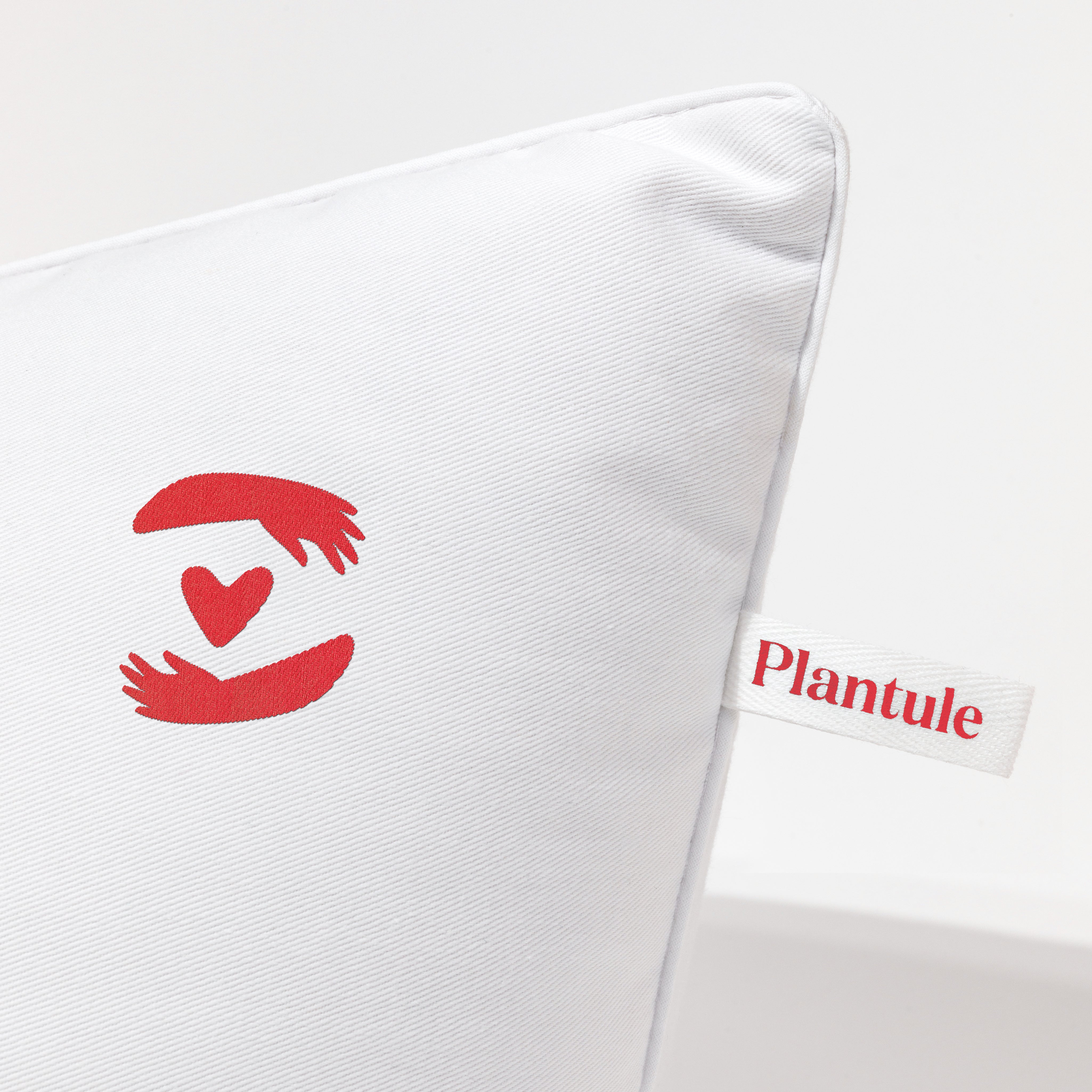 BF: Buckwheat husk pillow - bestseller (various sizes)