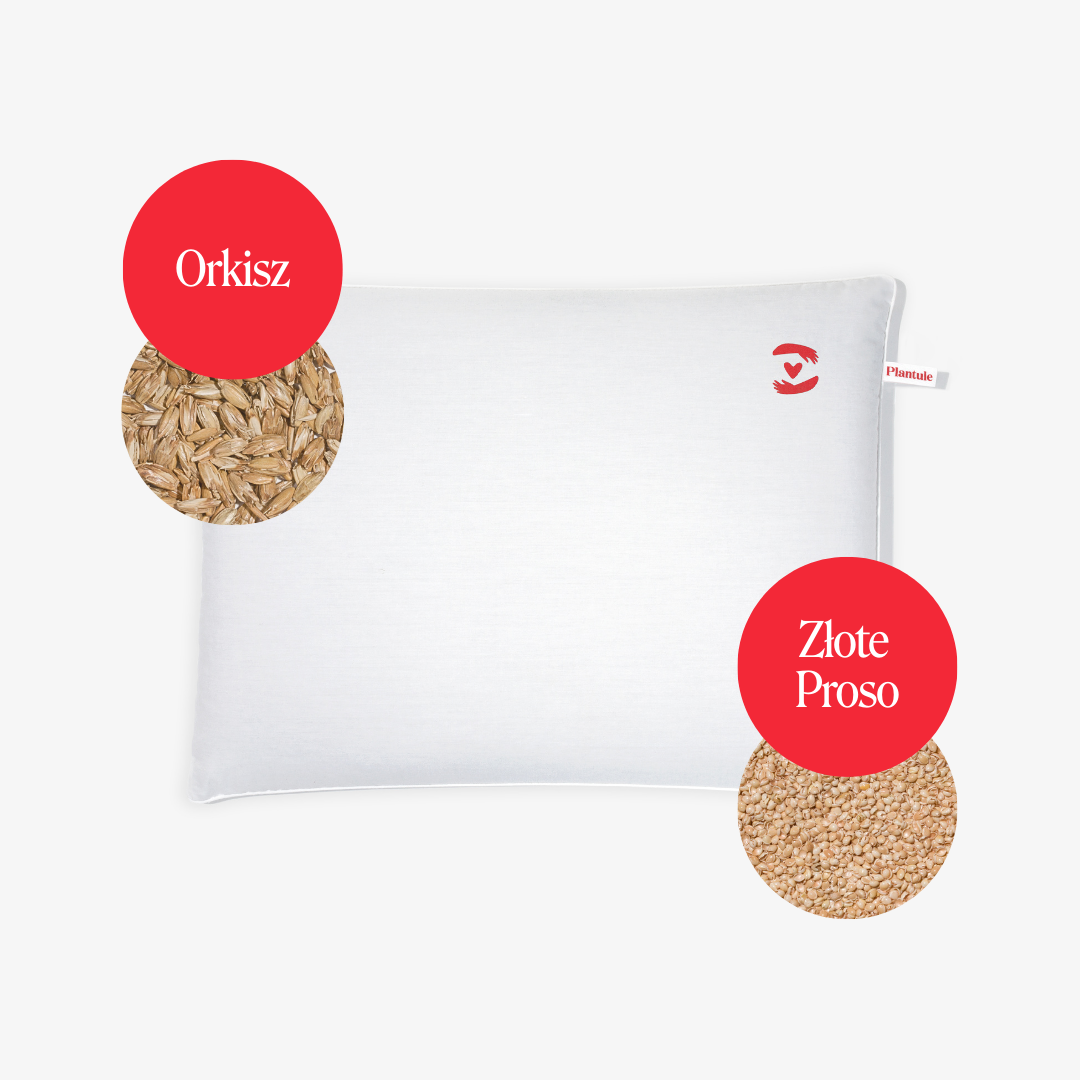 BF: Buckwheat husk pillow - bestseller (various sizes)