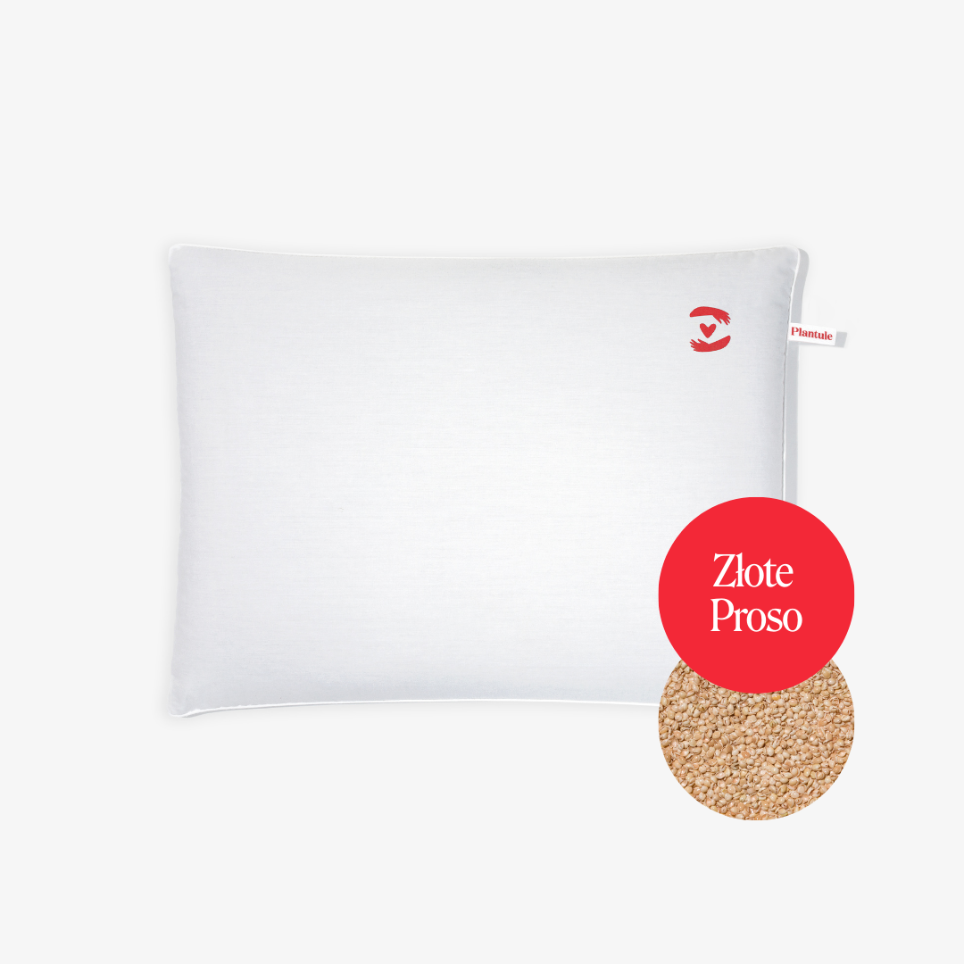 BF: Buckwheat husk pillow - bestseller (various sizes)