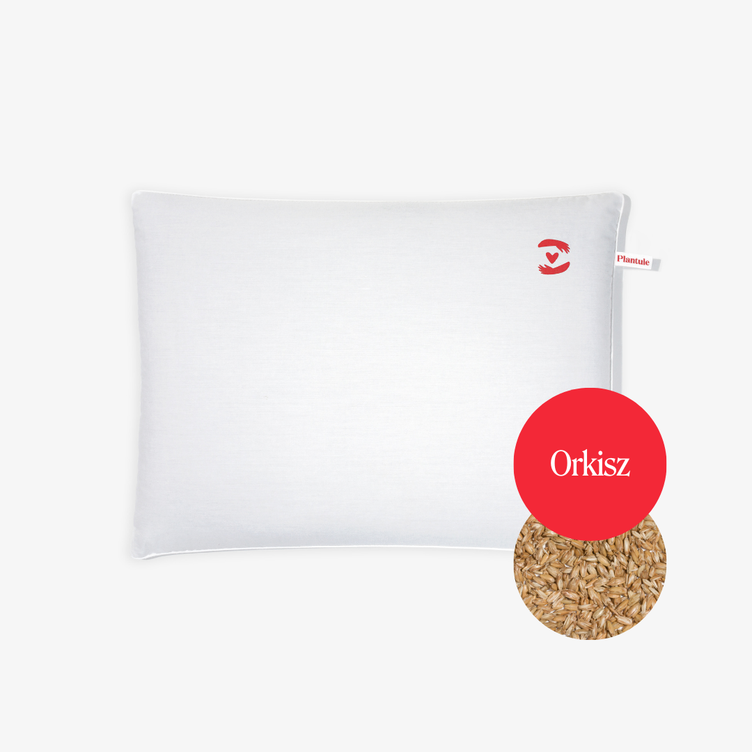BF: Buckwheat husk pillow - bestseller (various sizes)