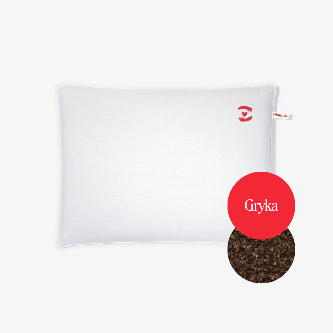 BF: Buckwheat husk pillow - bestseller (various sizes)