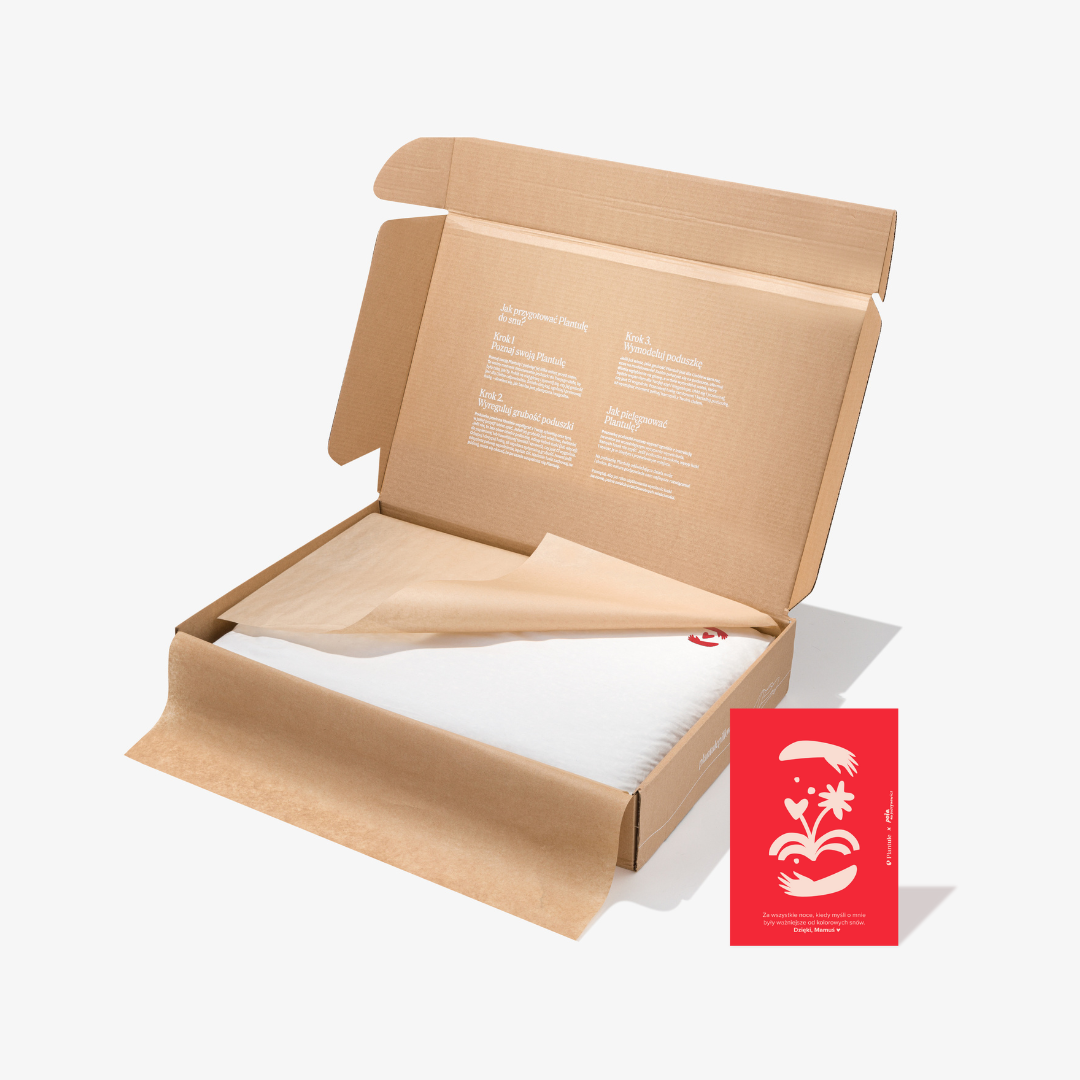 BF: Buckwheat husk pillow - bestseller (various sizes)