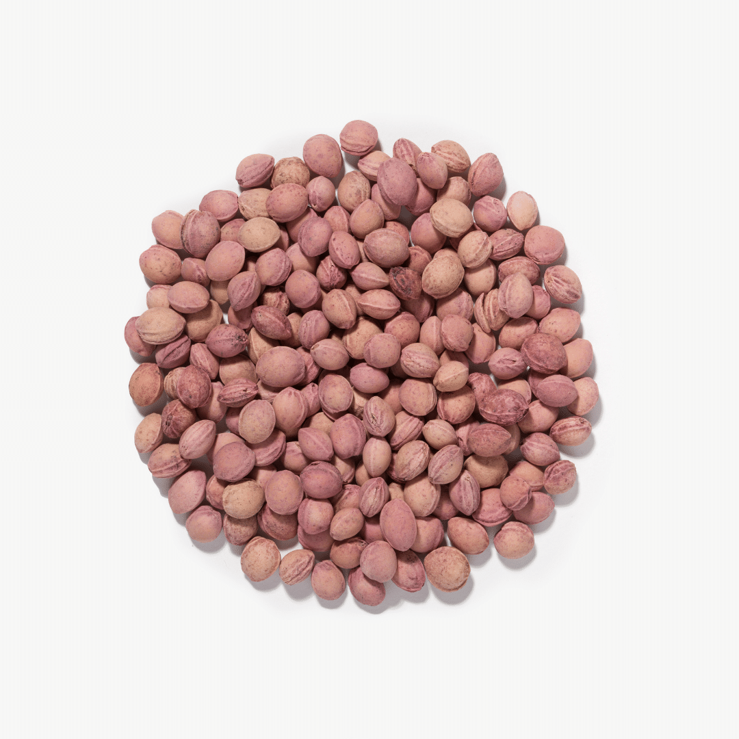 ekologiczne pestki wiśni termofor z pestkami wiśni Plantule