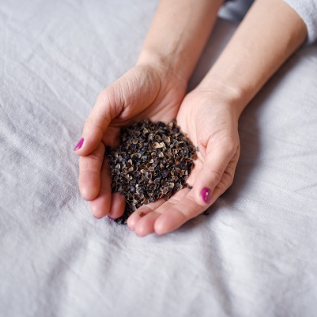 Plantule-łuska gryki