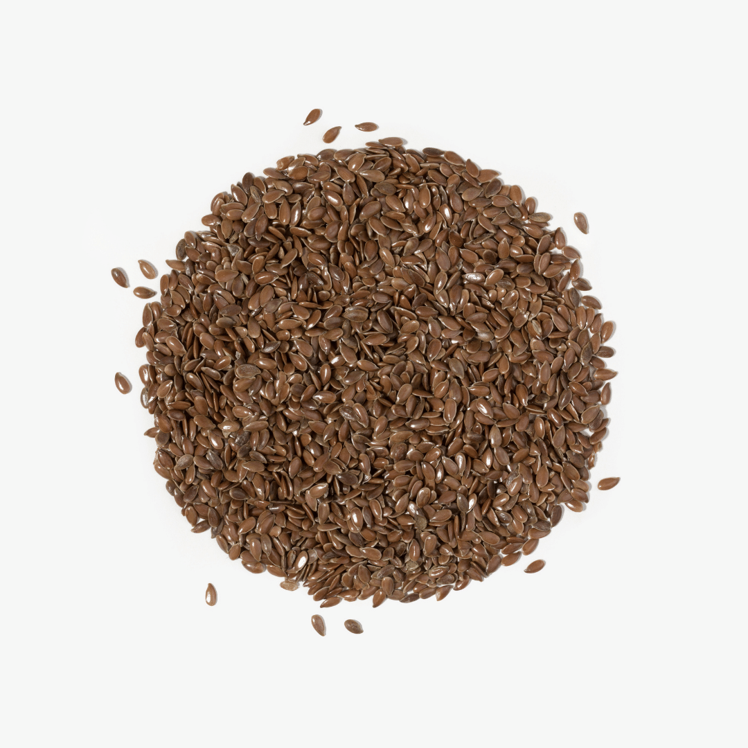 ekologiczne siemie lniane plantule