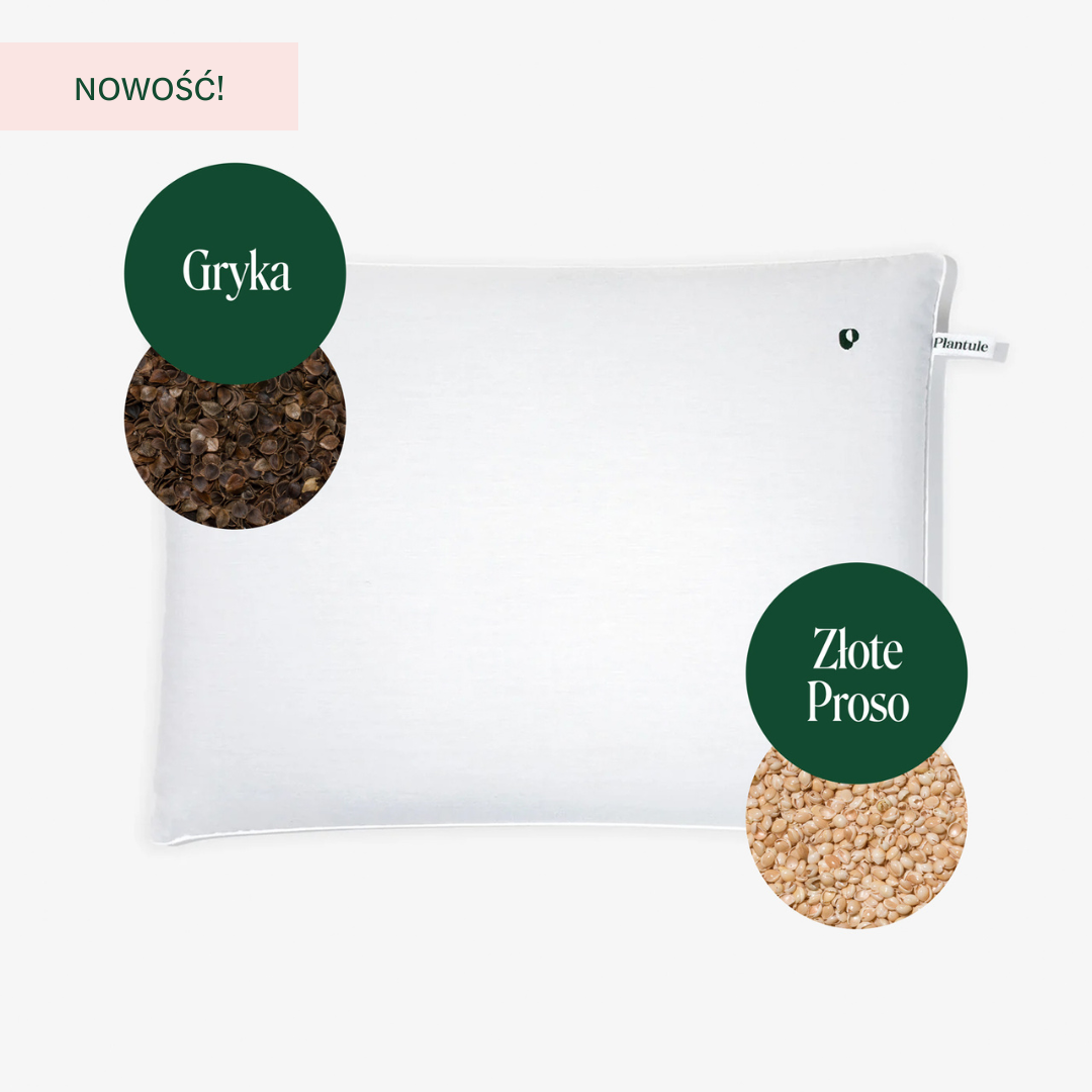 BF: Buckwheat husk pillow - bestseller (various sizes)