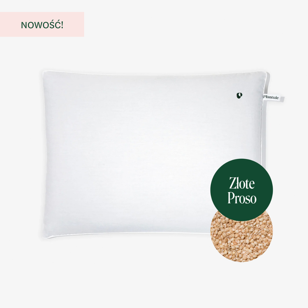 BF: Buckwheat husk pillow - bestseller (various sizes)