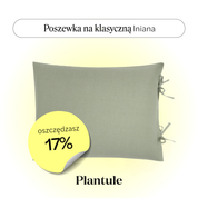 Linen pillowcase 45x60 cm (green)