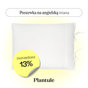 Linen pillowcase 45x60 cm (white)