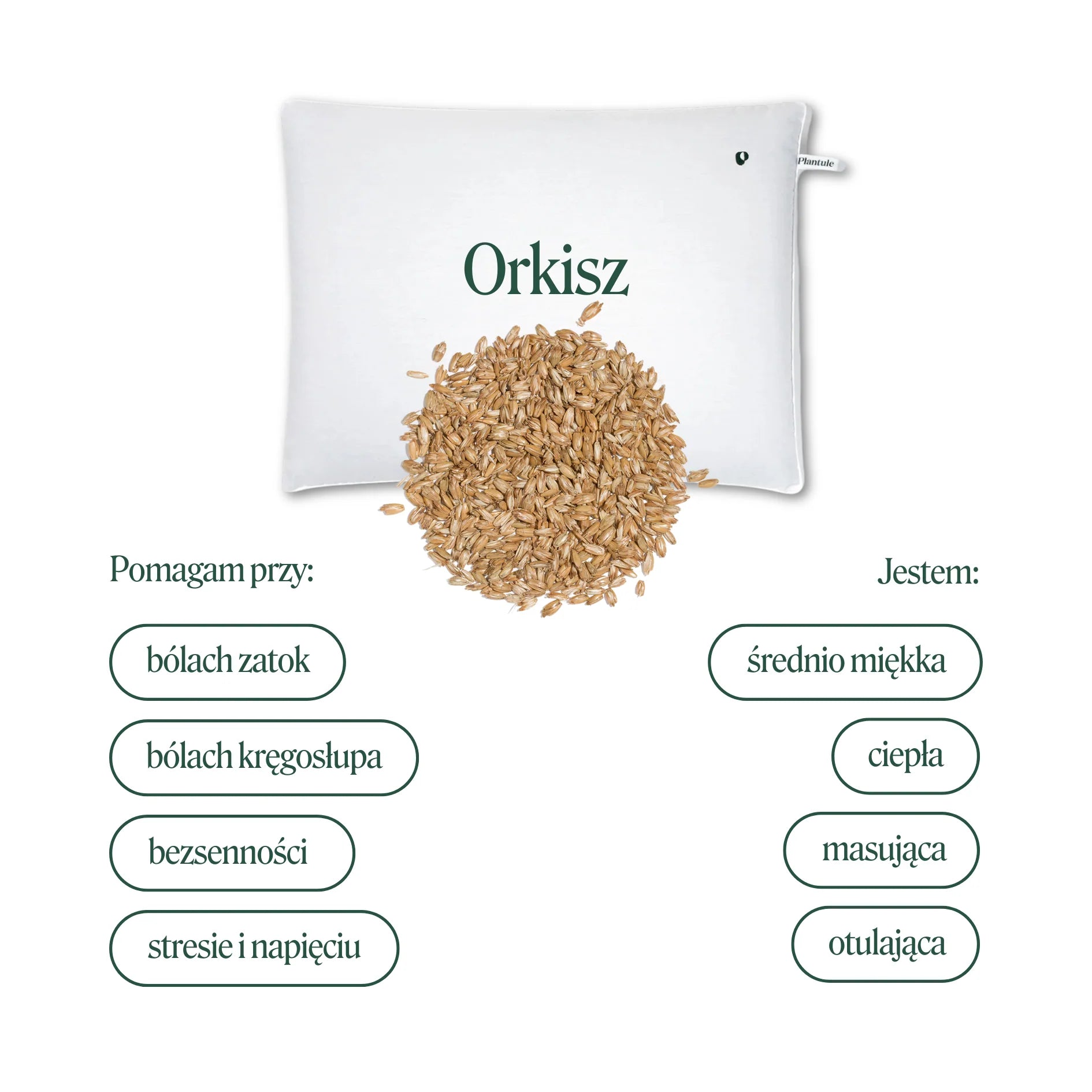 BF: Buckwheat husk pillow - bestseller (various sizes)
