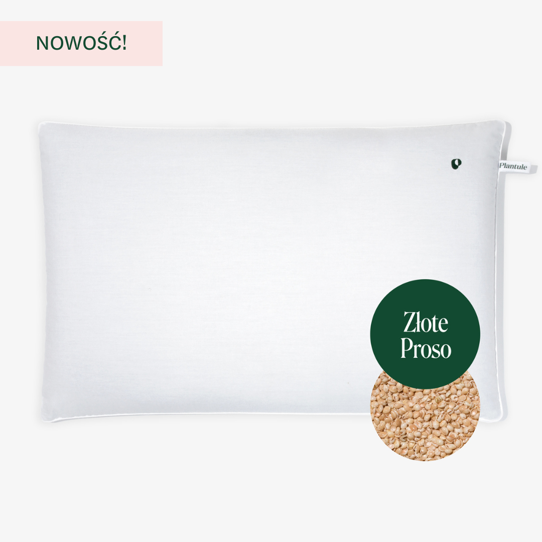 BF: Buckwheat husk pillow - bestseller (various sizes)