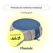 Sitting and meditation cushion (blue)