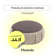 Sitting and Meditation Cushion (Brown)