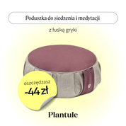 Cushion for sitting and meditation (burgundy)