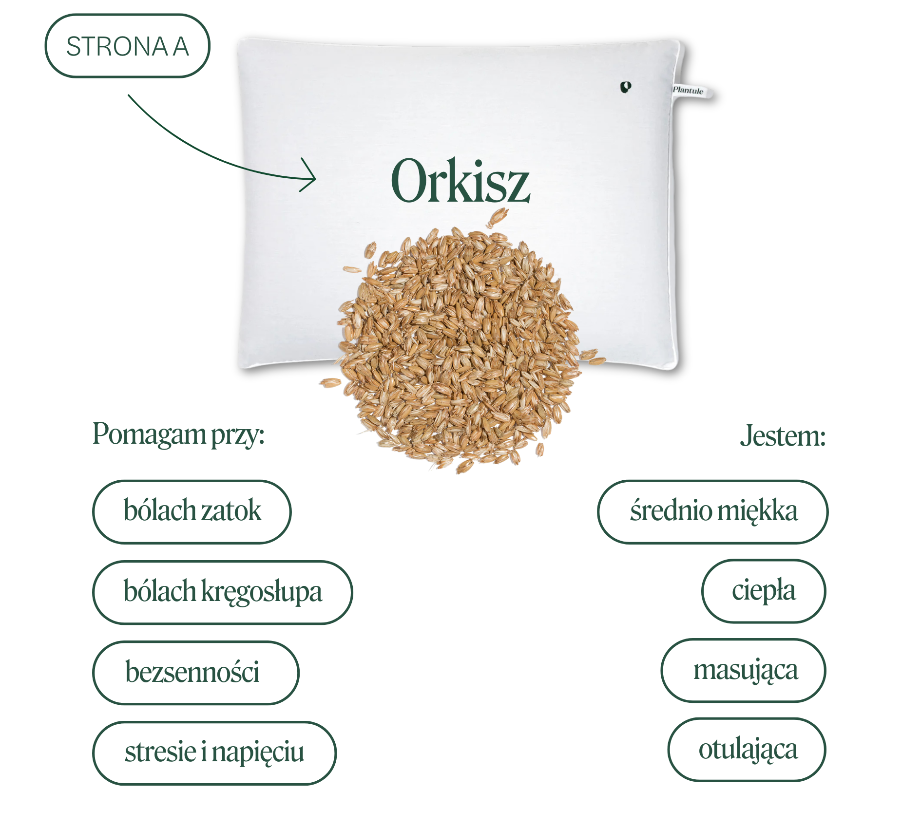 A_ORKISZ.png