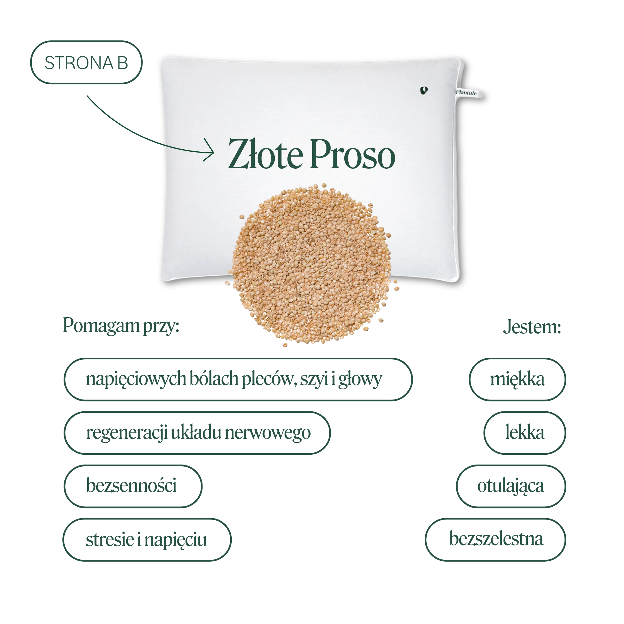 BF: Buckwheat husk pillow - bestseller (various sizes)
