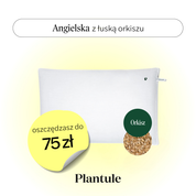 BF: Buckwheat husk pillow - bestseller (various sizes)