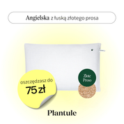 BF: Buckwheat husk pillow - bestseller (various sizes)