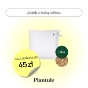 BF: Buckwheat husk pillow - bestseller (various sizes)